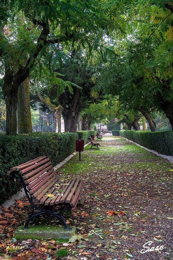 Pension Casa Pinilla Cascante Екстериор снимка